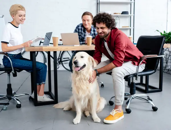 smiling young business people looking at dog while working in office
